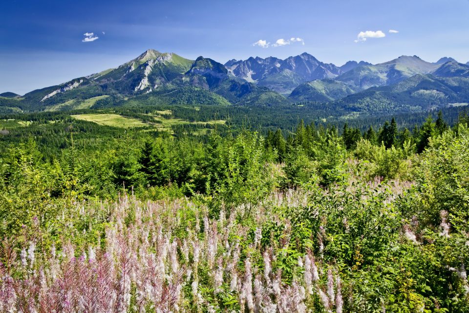 Zakopane: Tatra Mountains Full Day Tour From Krakow - Tour Overview and Pricing