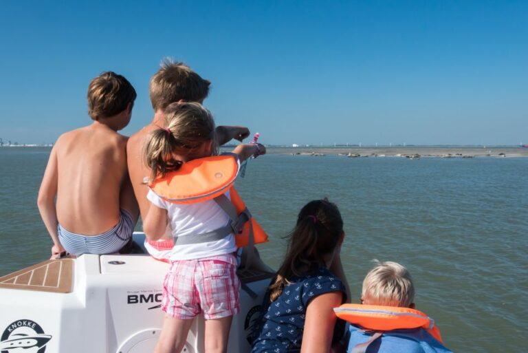 Zeebrugge: Seal Watching Boat Tour With Glass of Champagne