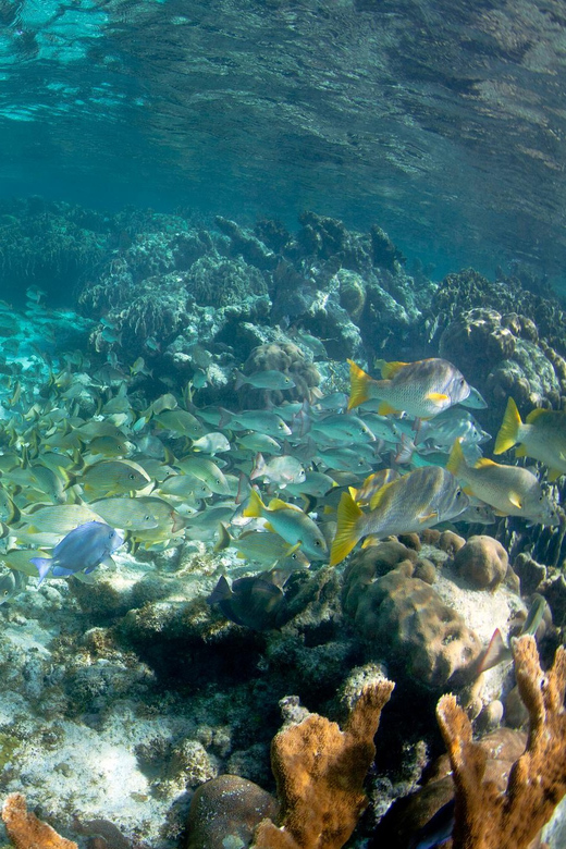 Zingaro Reserve: Typical Boat Tour