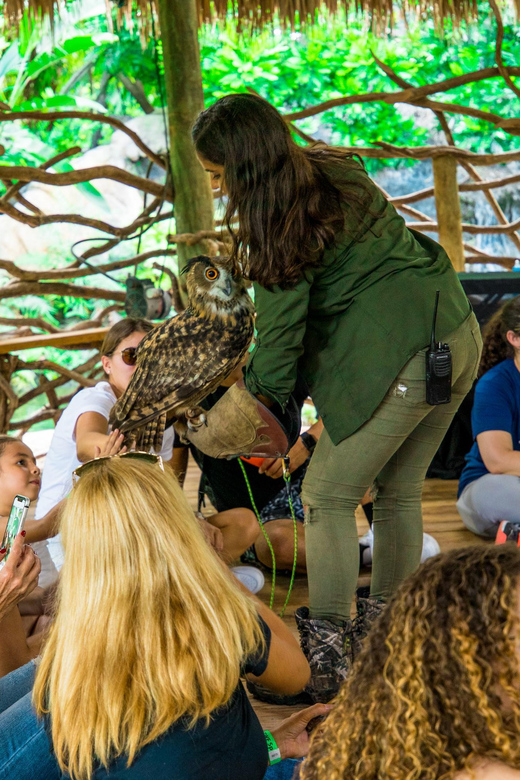 ZWF Miami: General Wildlife Experience - 1 Hour Tour - Tour Overview