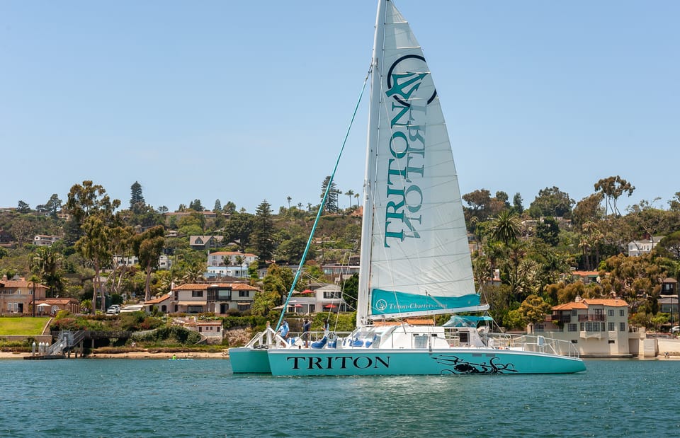 2.5 Hour Bay Tour on the Largest Catamaran in San Diego - Key Points