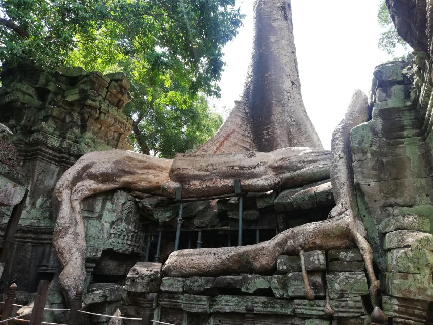 2-Day Angkor Complex; Beng Mealea & Kompong Phluk Village - Good To Know