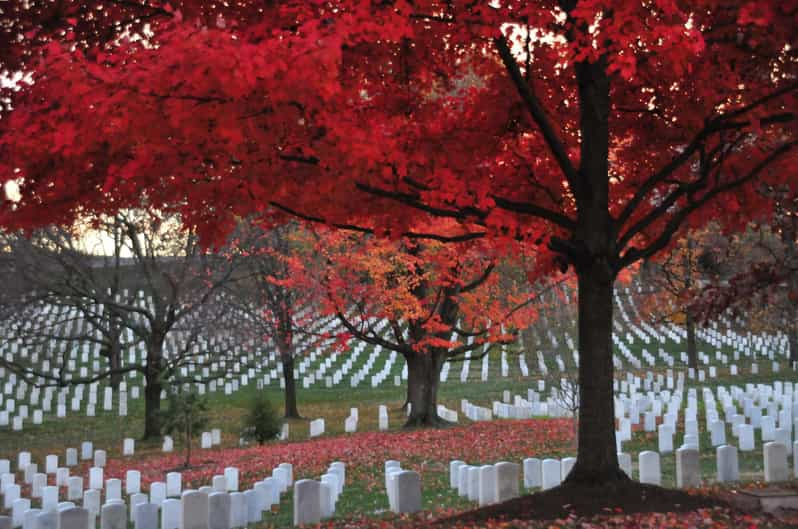 2-Hour Arlington Cemetery Morning Guided Walking Tour - Key Points