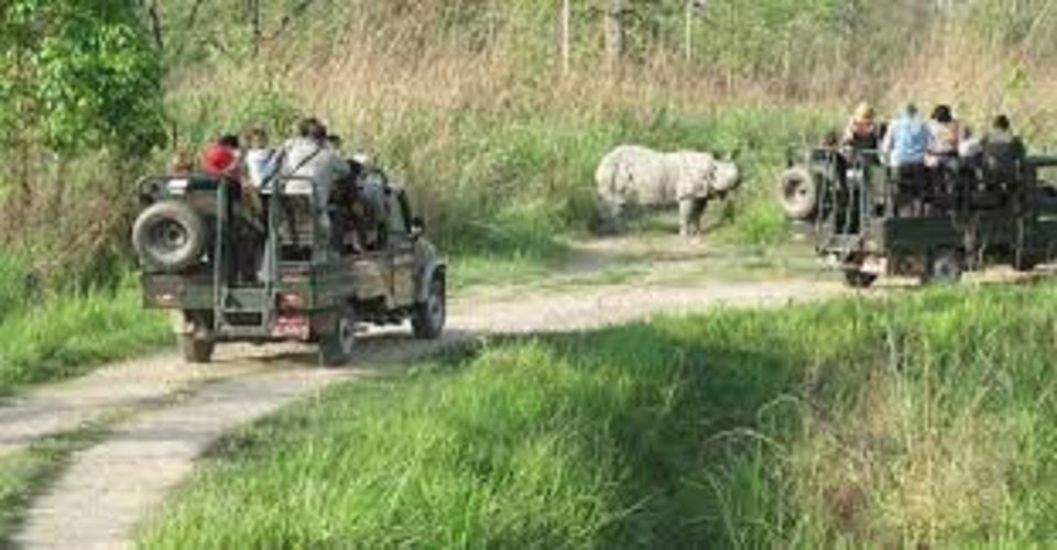 2 N 3 Days Chitwan Tour Package From Pokhara or Kathmandu - Key Points