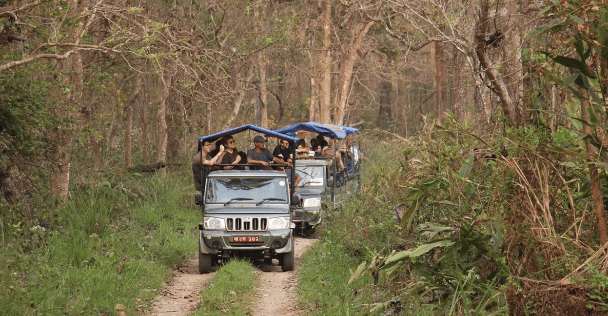 2 Nights 3 Days Chitwan Jungle Safari Package All Inclusive - Key Points