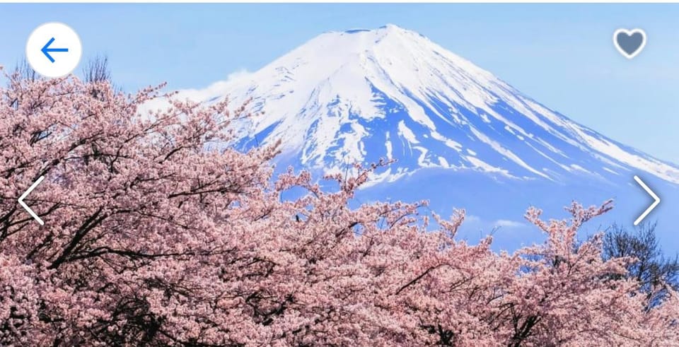 1 Day Mt Fuji Tour With Pick up and Drop off From Tokyo - Itinerary Highlights