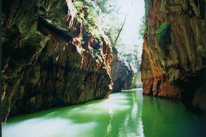1 Day Stone Forest & Jiuxiang Cave Tour - Highlights of Stone Forest