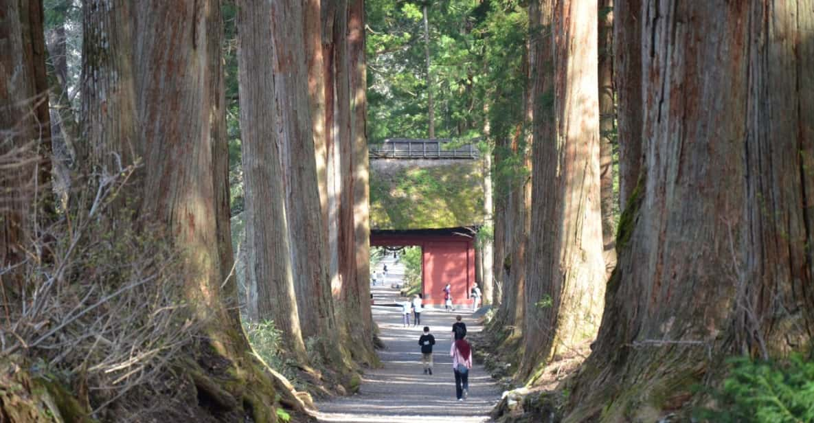 1-Day Togakushi: Soba Making, Ninja Town and Hidden Shrines - Soba Noodle Making Experience