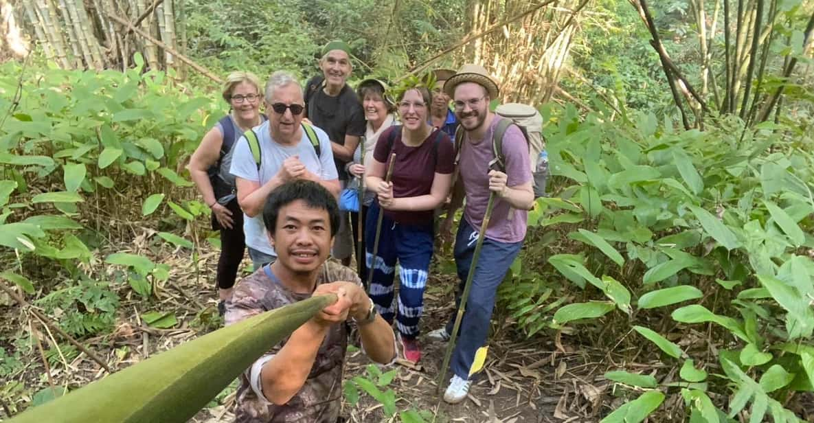 1 Day Trekking : Chiang Rai Popular Activity,Fun in Nature. - Pricing and Booking