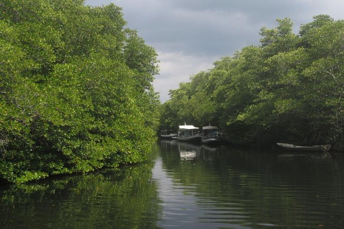 1 Hour Mangrove Tour From Lembongan With Kayak, Paddle, or Boat - Safety Measures