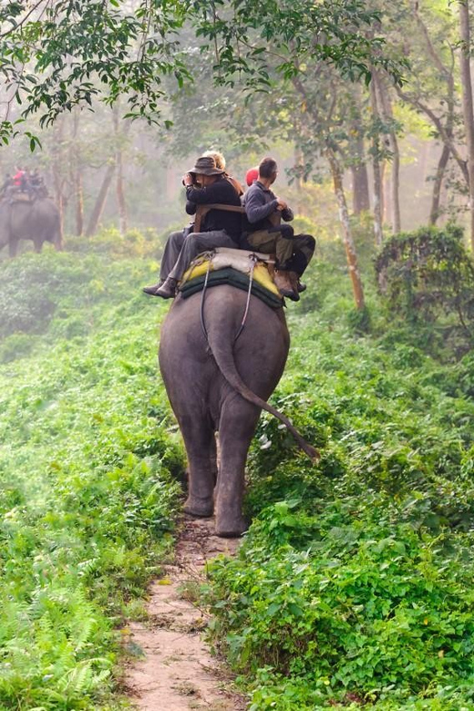 1 Night 2 Day Chitwan Safari Tour Pokhara - Itinerary Highlights