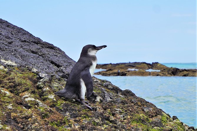 10-Day Galapagos Multi-Sport - Island Exploration