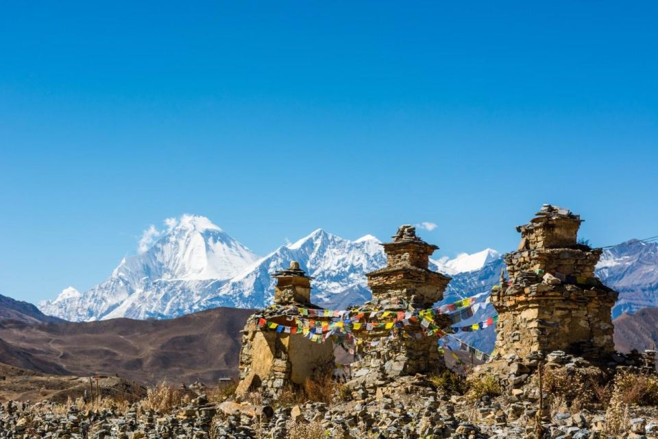 14 Days Jomsom Muktinath Trek - Accommodation and Meals