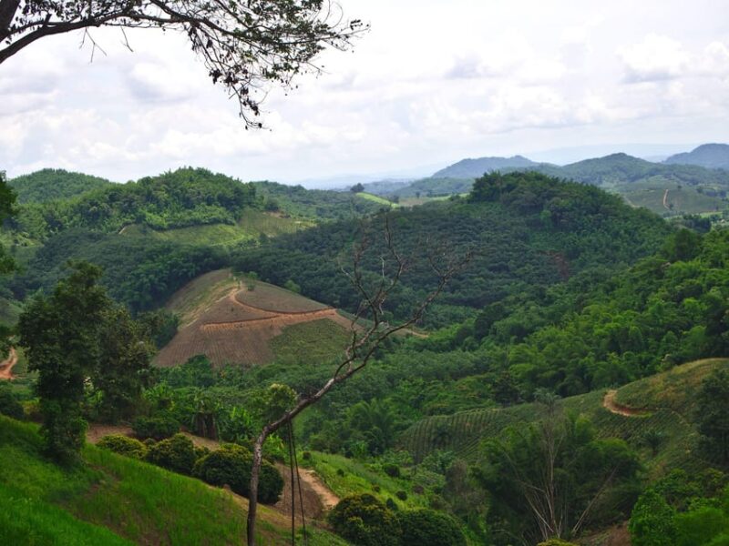 2 Days 1 Night Private Eco-Trekking Akha & Lahu Chiang Rai - Highlights of the Experience