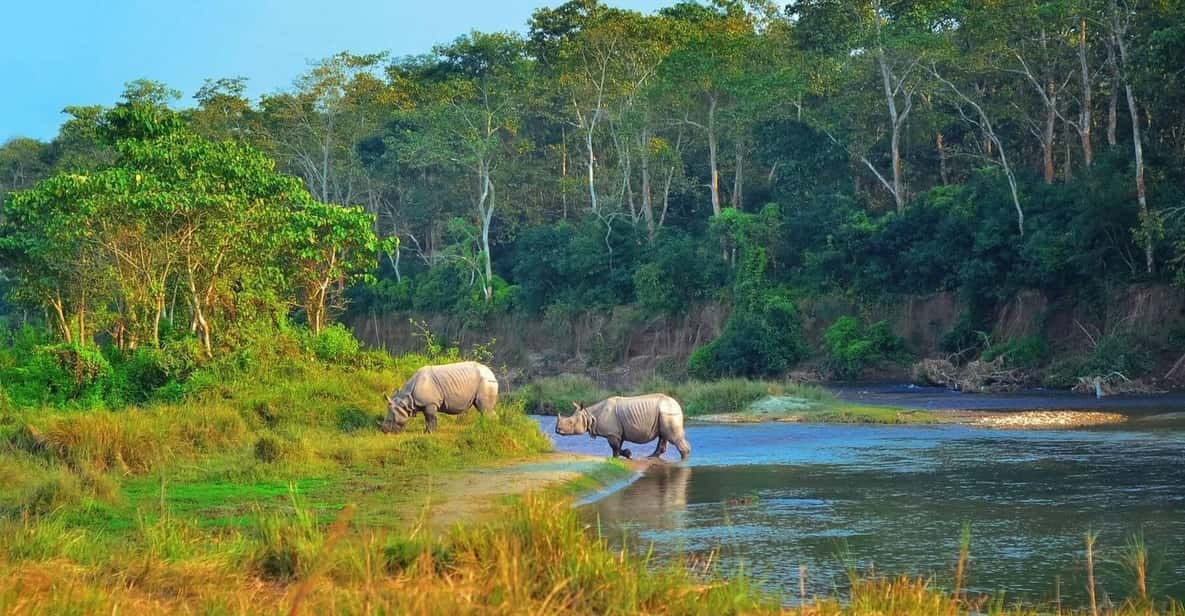 2 Days Chitwan Jungle Safari Tour From Pokhara/Kathmandu - Pricing and Discounts