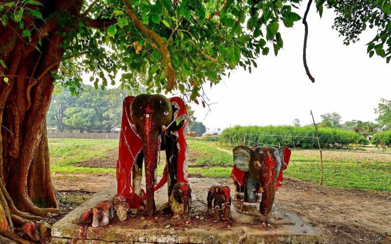 2 Days Lumbini Tour From Kathmandu - Day 1 Itinerary