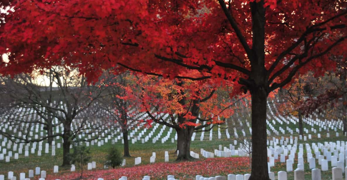 2-Hour Arlington Cemetery Morning Guided Walking Tour - Meeting and Availability