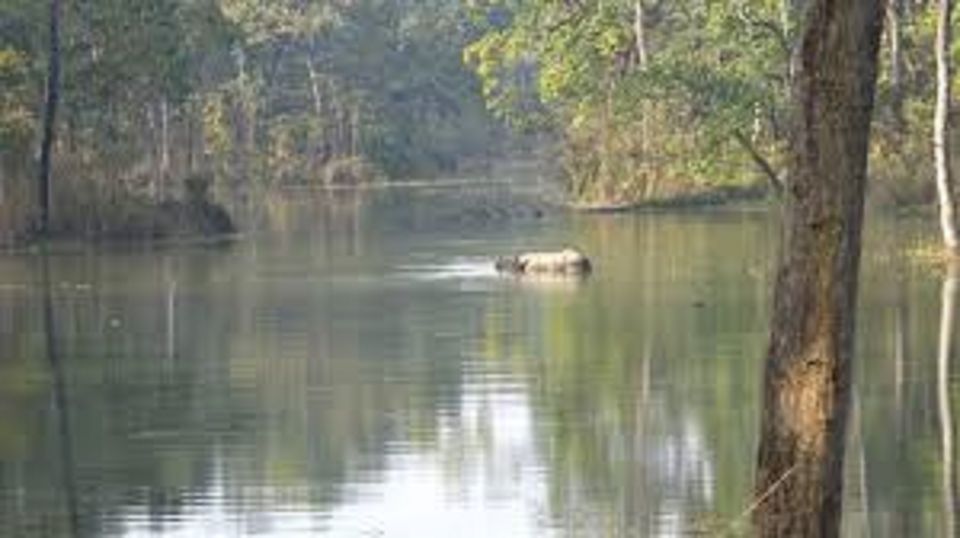 2 Night 3 Days Chitwan National Park Tour From Kathmandu - Pricing Details