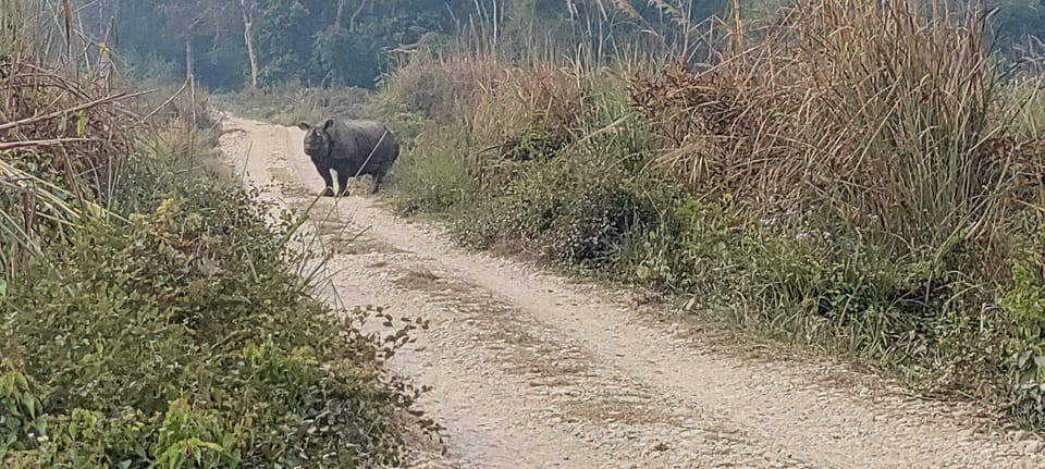 2 Night 3 Days Safari Tour in Chitwan National Park - Significance of Chitwan National Park