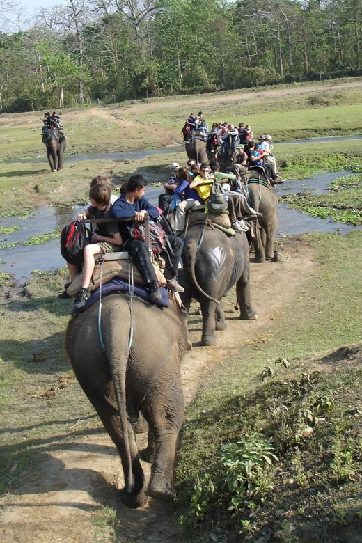 2 Nights 3 Days Chitwan Jungle Safari Package All Inclusive - Detailed Itinerary