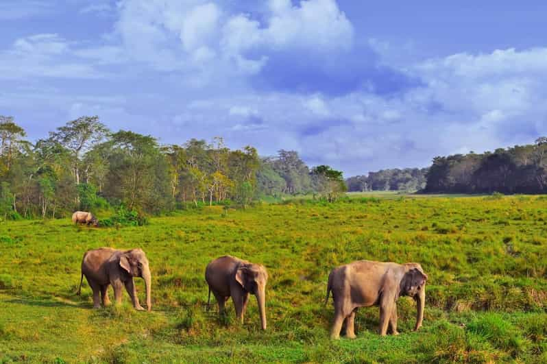 3-Day Chitwan Safari Tour With Hotel Transfers, Kathmandu - Detailed Itinerary