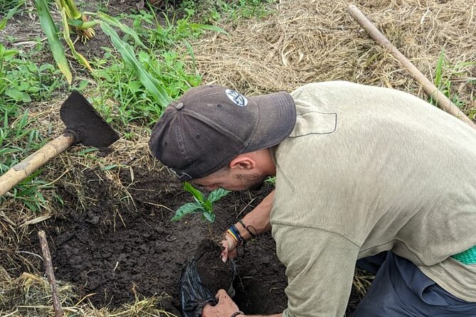 3 Day Private Tour Authentic Coffee Experience in Colombia - Included Amenities