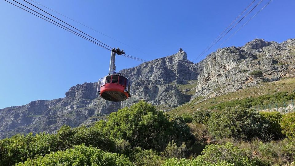 3-Day Private Tour: Good Hope Table Mountain & Robben Island - Robben Island, Table Mountain & City Tour