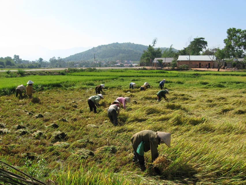 3 Days Dalat to Nha Trang via Central Highland Tour - Itinerary Highlights