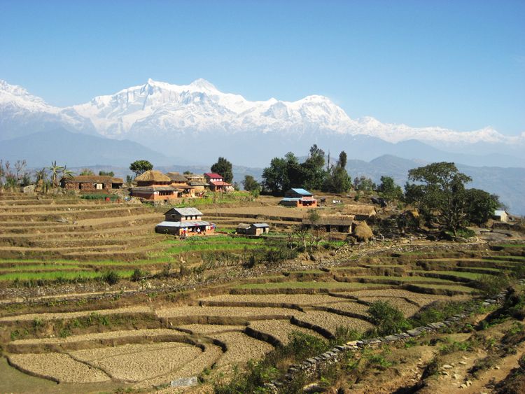 3 Days Dhampus Trek From Kathmandu - Detailed Itinerary