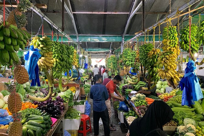 3 Hour Male City Tour With Local Guide - Itinerary Breakdown