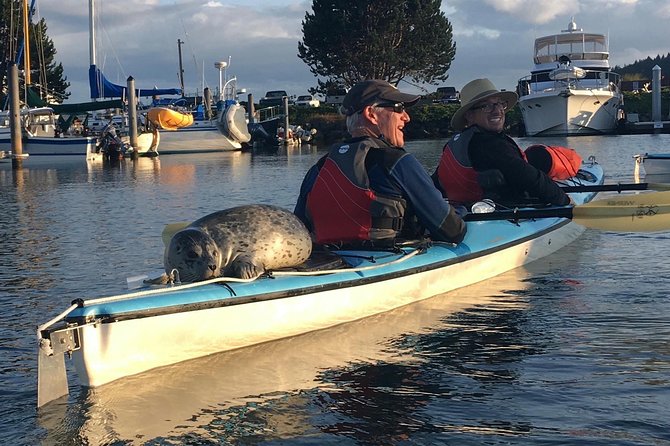 3-Hour Sea Kayak Tour in the San Juan Islands - Included Equipment and Safety Gear