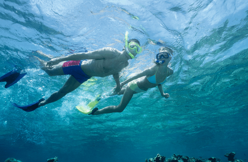 3- Hour Waikiki Snorkel Adventure - Snorkeling Experience