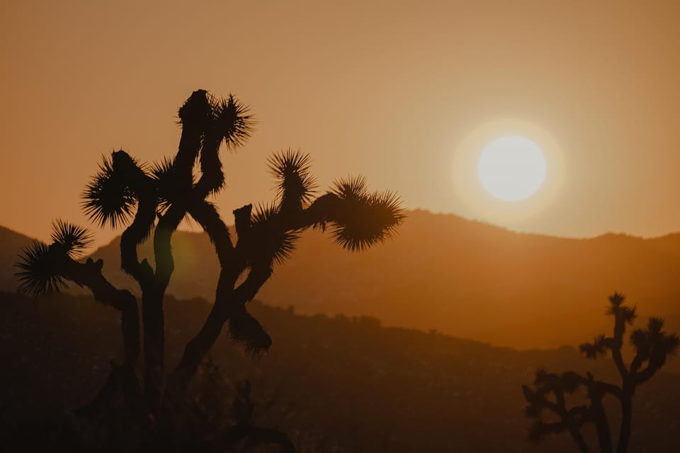 3 Hr Guided Horseback Ride: Joshua Tree National Park - Experience Highlights