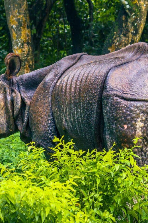 3 Nights Chitwan Adventure With 1 Night Jungle Tower Stay - Itinerary Breakdown