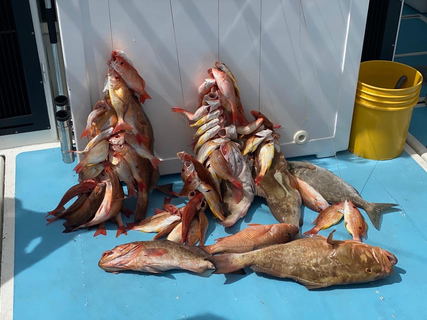 4 Hour Deep Sea Fishing - Booking Your Experience