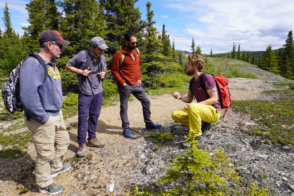 4 Hour Off-Trail Wilderness Wonders Tour in Denali - Experience Highlights