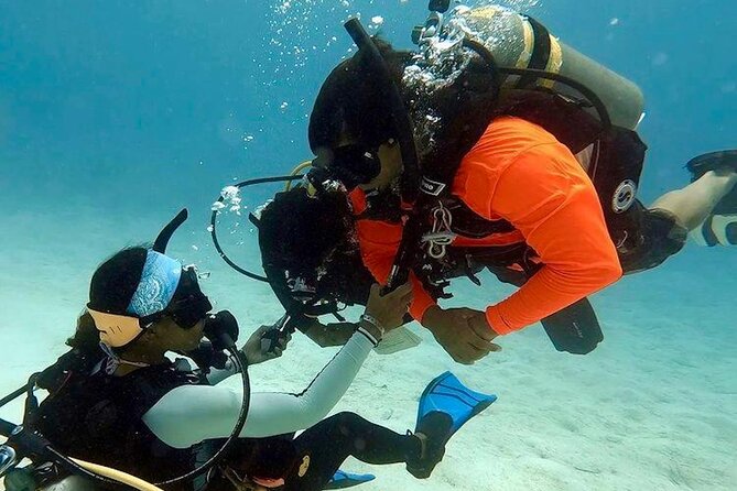 4 Hour Scuba Diving Course in Tayrona Park - Activity Duration and Logistics