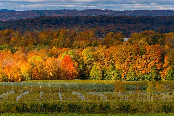 4-Hour Traverse City Sunset Wine Tour: 3 Wineries on Old Mission Peninsula - Wine Tasting Experiences