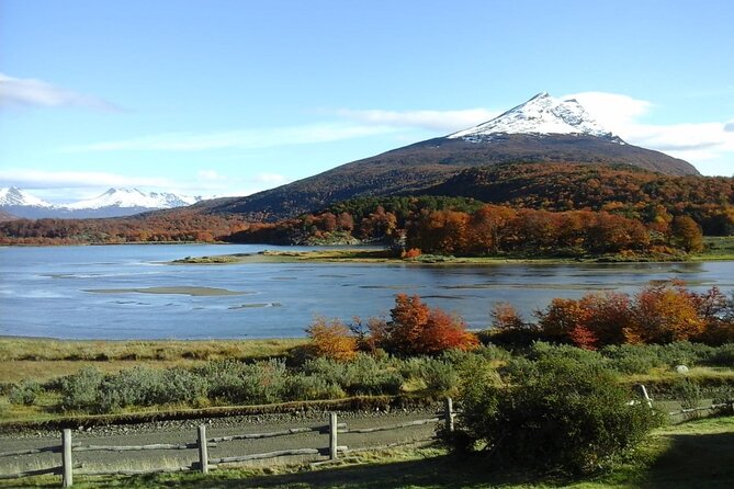 5.5-Hour National Park W/ Hiking Shore Excursion - USHUAIA (Private Tour) - Guided Experience