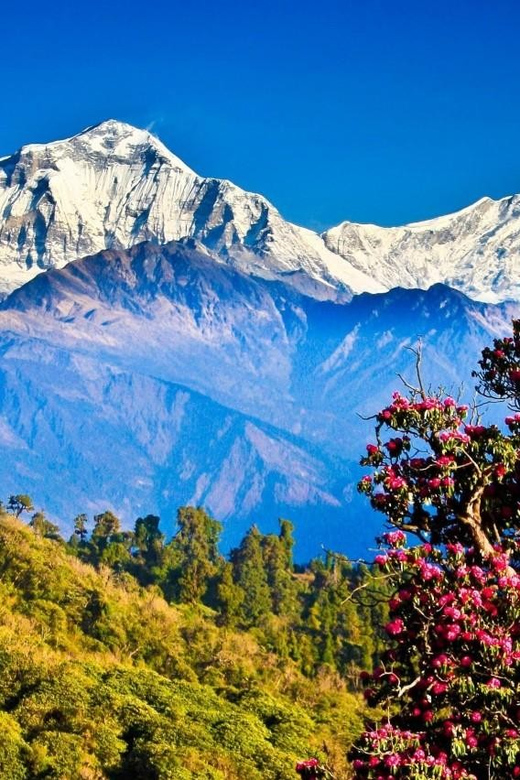 5-Day Ghorepani and Poon Hill Private Trek Pokhara - Detailed Itinerary