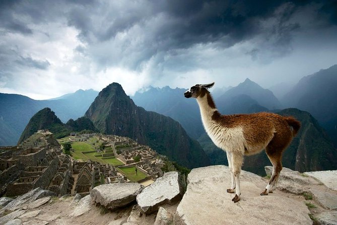 5-Day Machu Picchu and Highlights of Cusco - Exploring Machu Picchu