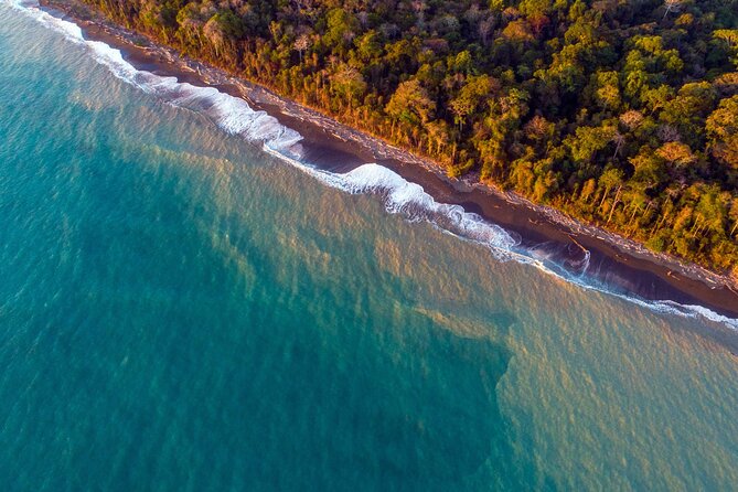 6-Day Osa Jungle Adventure Tour in Osa, Drake and Corcovado - Itinerary Highlights