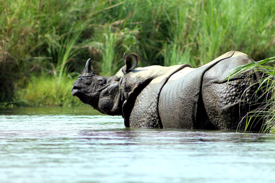 6 Days Nepal Tour With Chitwan National Park - Detailed Itinerary