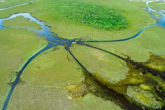 60 Min. Everglades Airboat Ride & Pick-Up ,Small Group +Pro Guide - Pricing and Availability