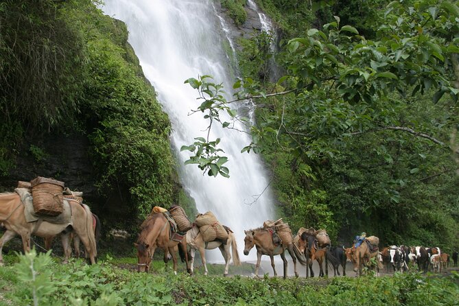 9 Days Druk-Path Trek With Cultural Sightseeing - Cultural Highlights of Bhutan