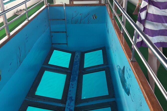 90-Minutes Glass Bottom Trip With Quick Dip - Shipwreck Tour