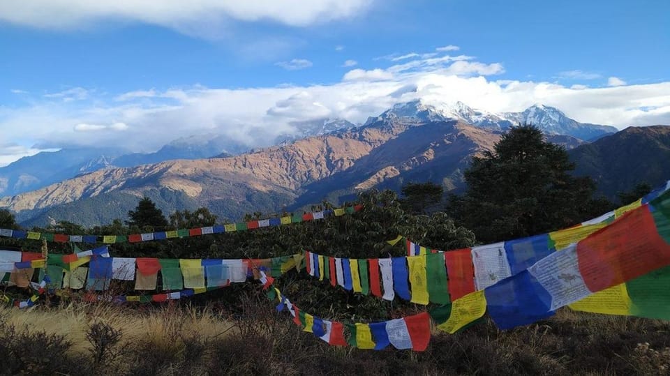 A Day Hiking From Kathmandu: Phulchowki Hill - Pricing and Reservation Details