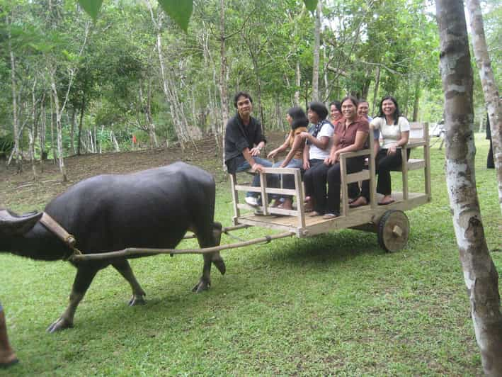 A Day of Tradition and Tastes of Cebu South - Transportation and Accessibility