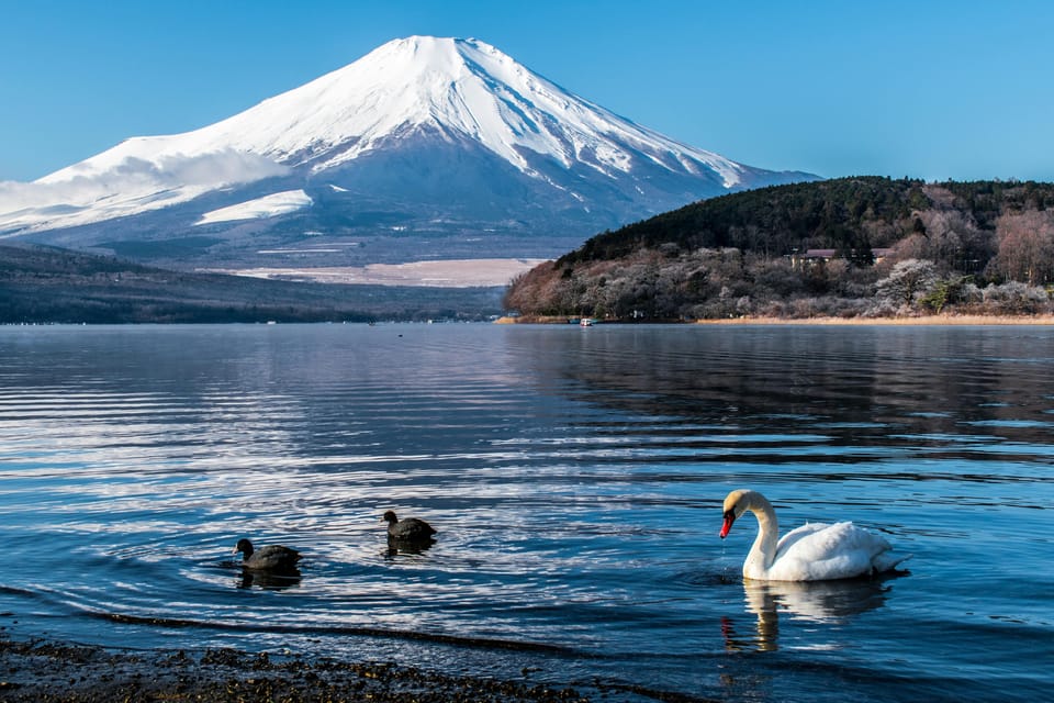 A Full Day Tour in a Private Car or Van of Mt Fuji - Scenic Views From Kachi Kachi Ropeway