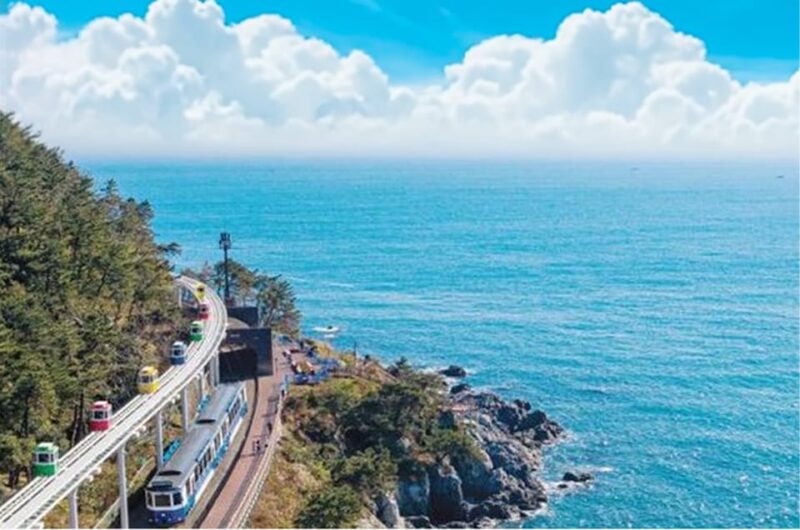 A Well-Rounded Small Group Busan Tour With a Certified Guide - Itinerary Highlights